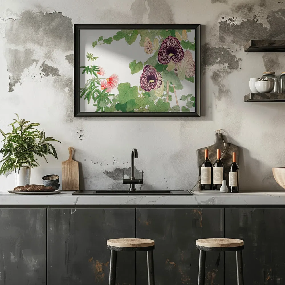 Albizia & Aristolochia Flower No.2 - Stretched Canvas, Poster or Fine Art Print