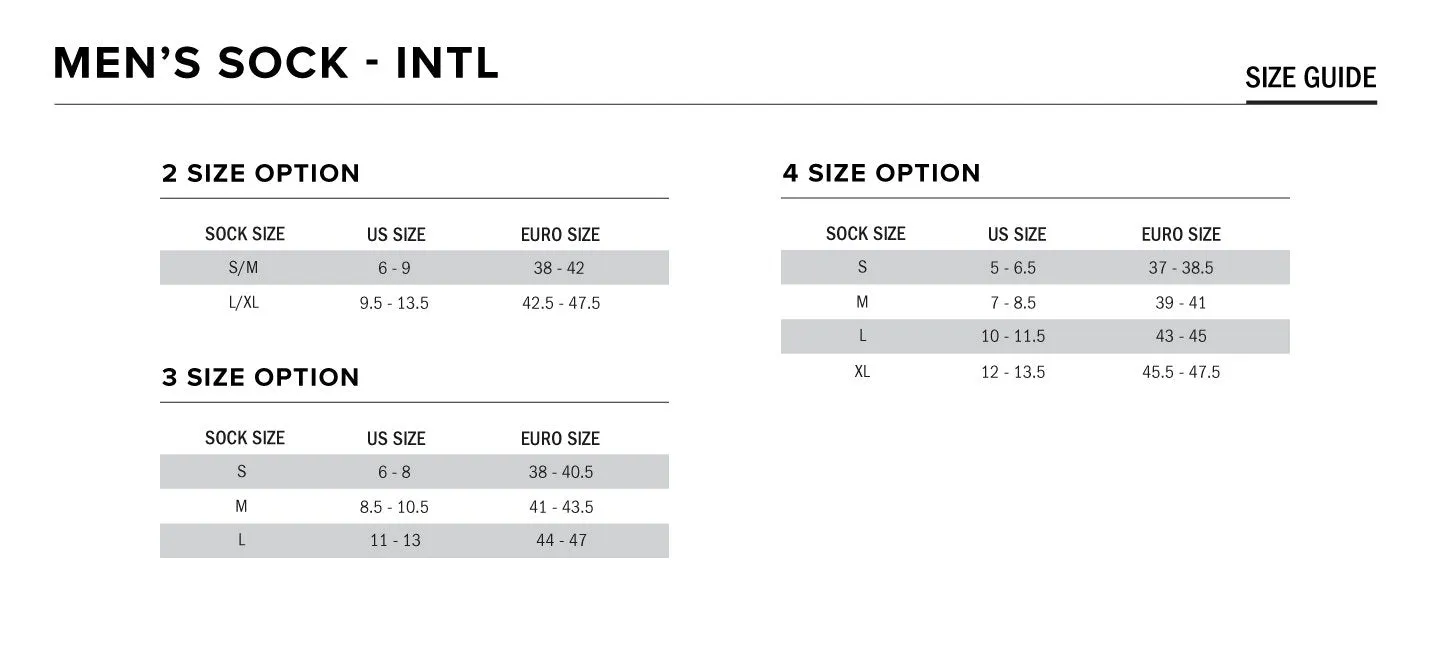 Alpinestars ZX V4 Race Car Socks
