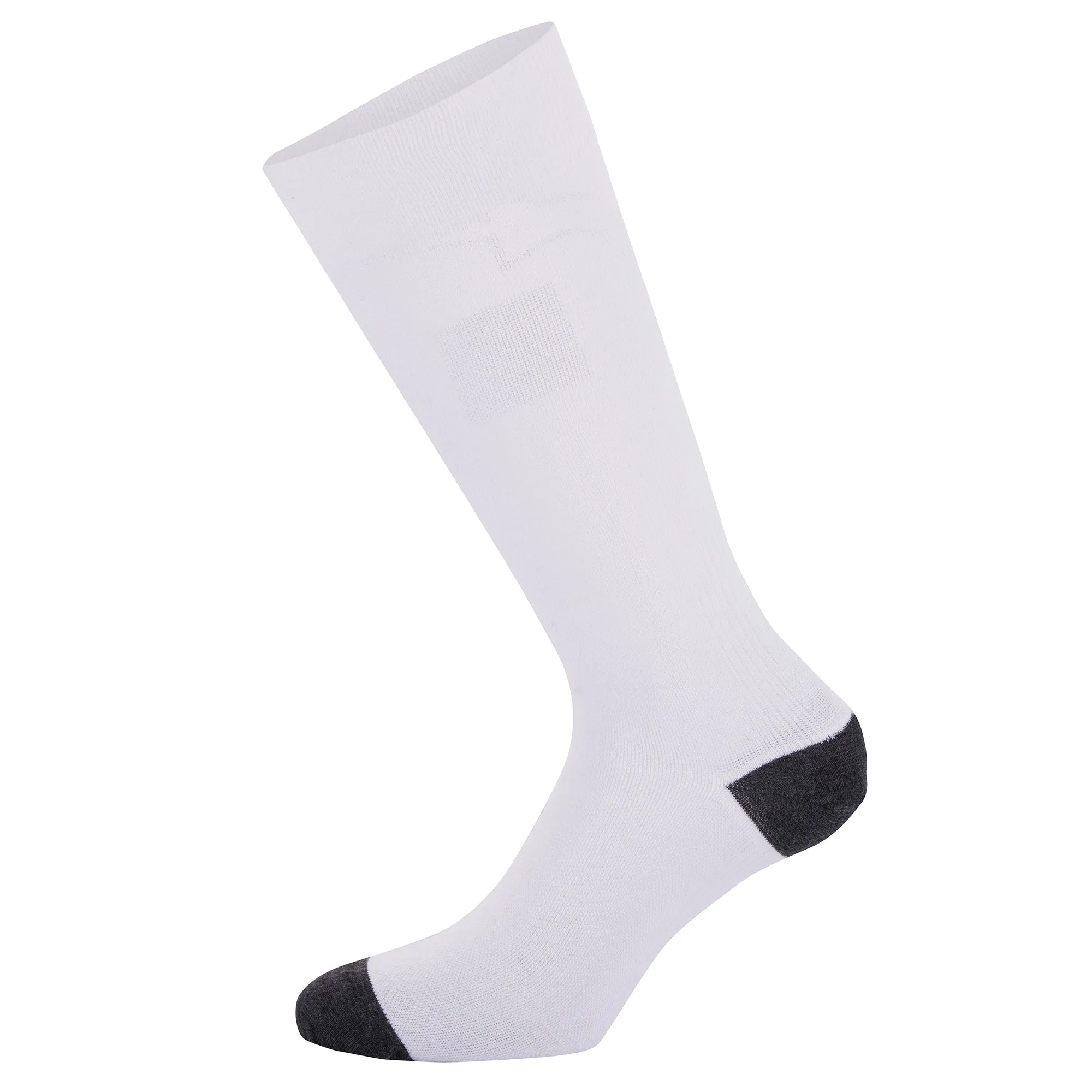 Alpinestars ZX V4 Race Car Socks