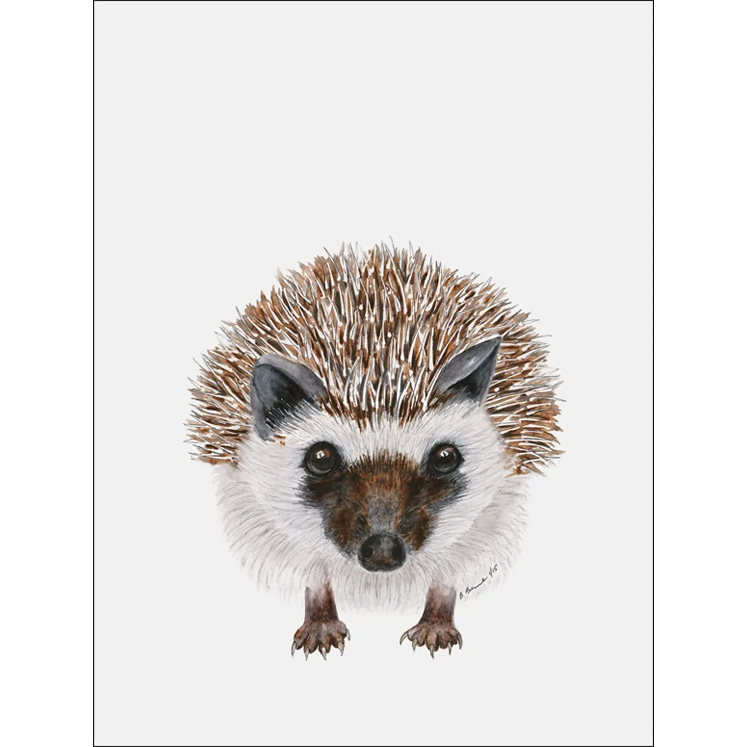 Baby Hedgehog Portrait Canvas Wall Art