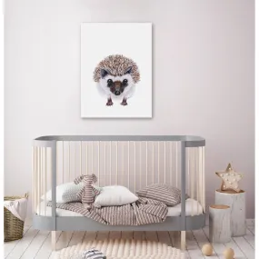 Baby Hedgehog Portrait Canvas Wall Art