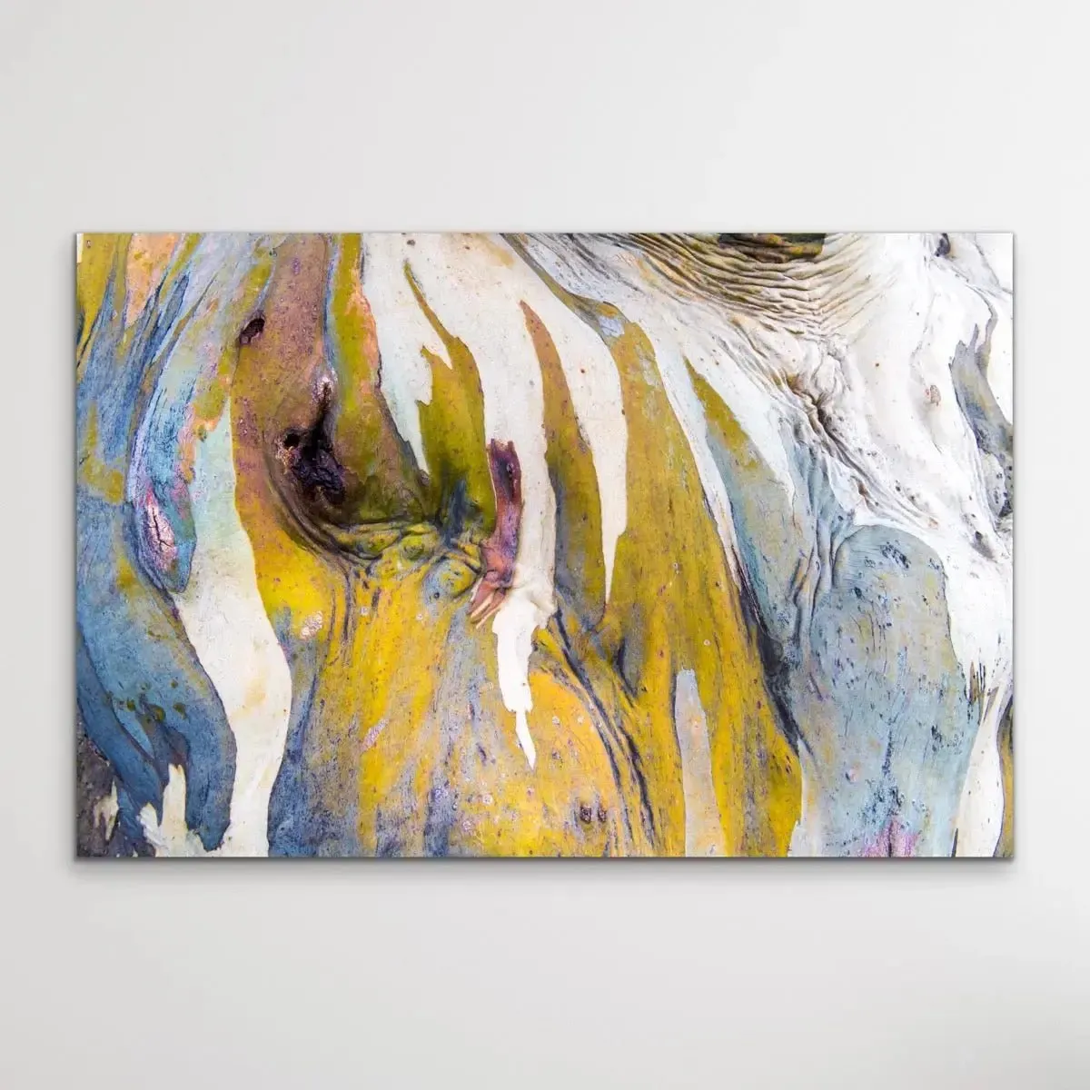 Bark in Yellow Tones