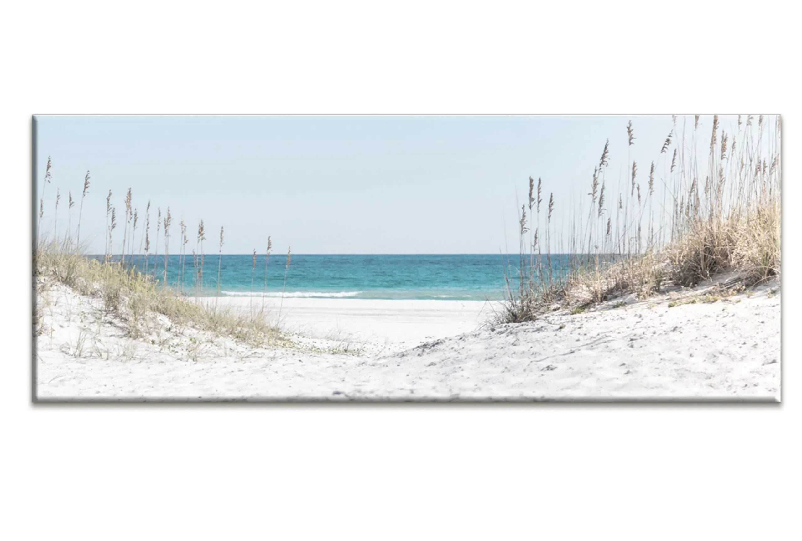 Beach Grass Panorama | Wall Art Print