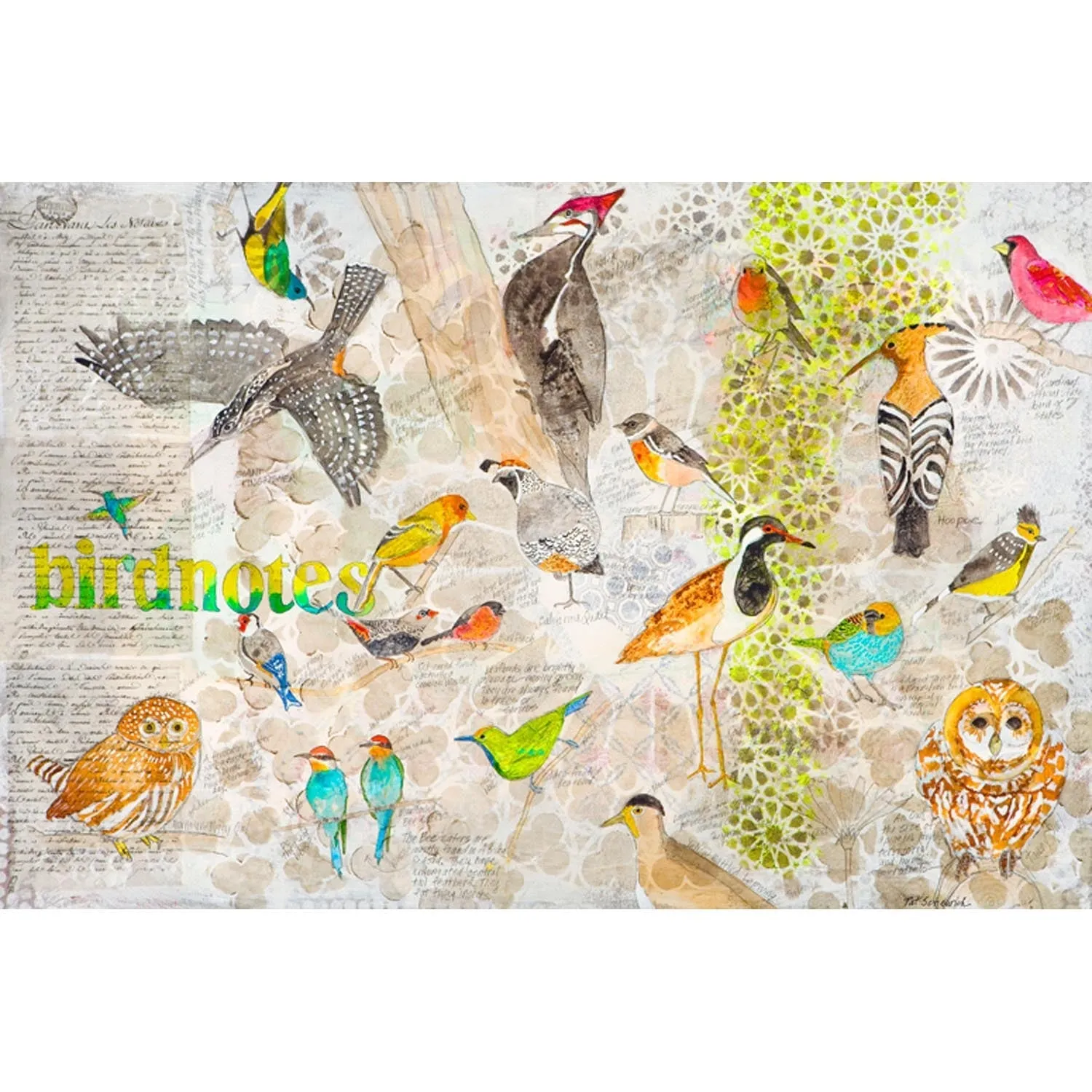 Bird Sketches Canvas Wall Art