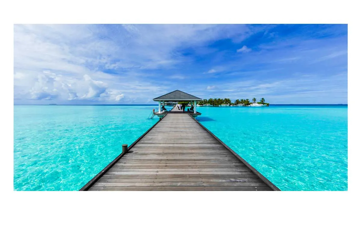 Boardwalk to Paradise | Canvas Wall Art Print