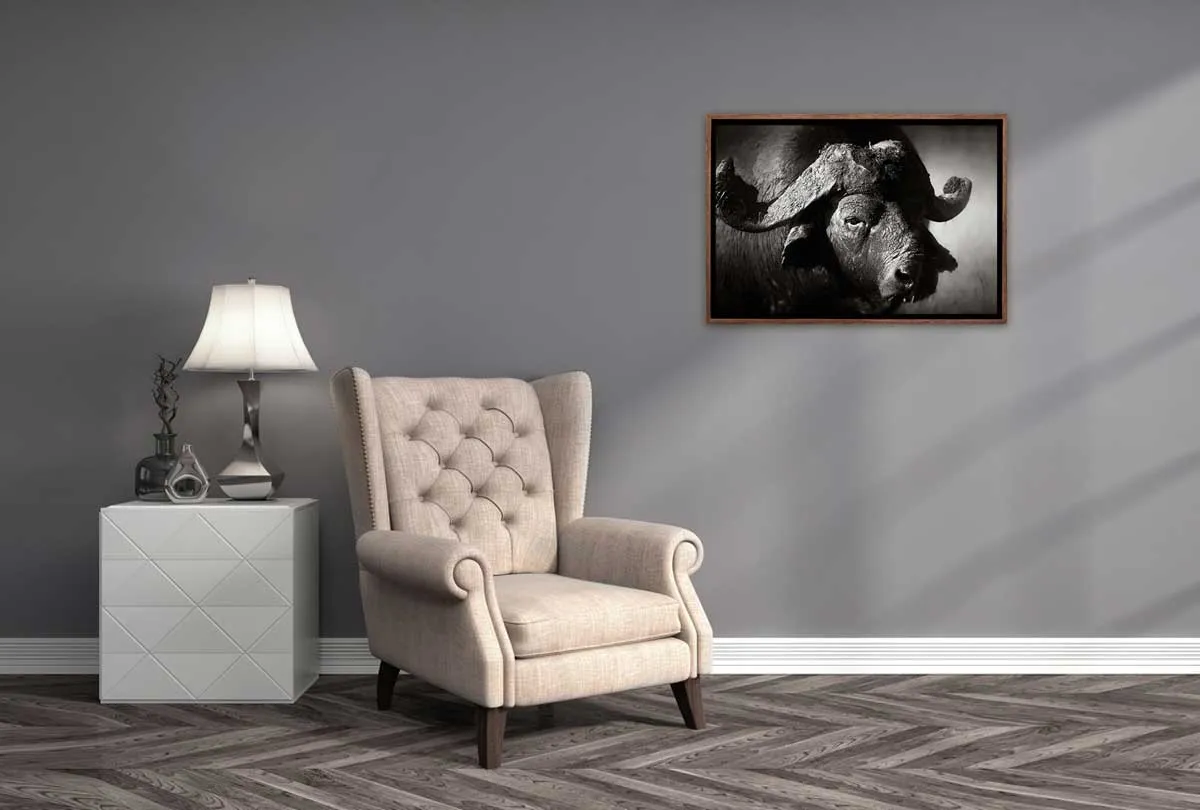 Buffalo | Animal Canvas Wall Art Print