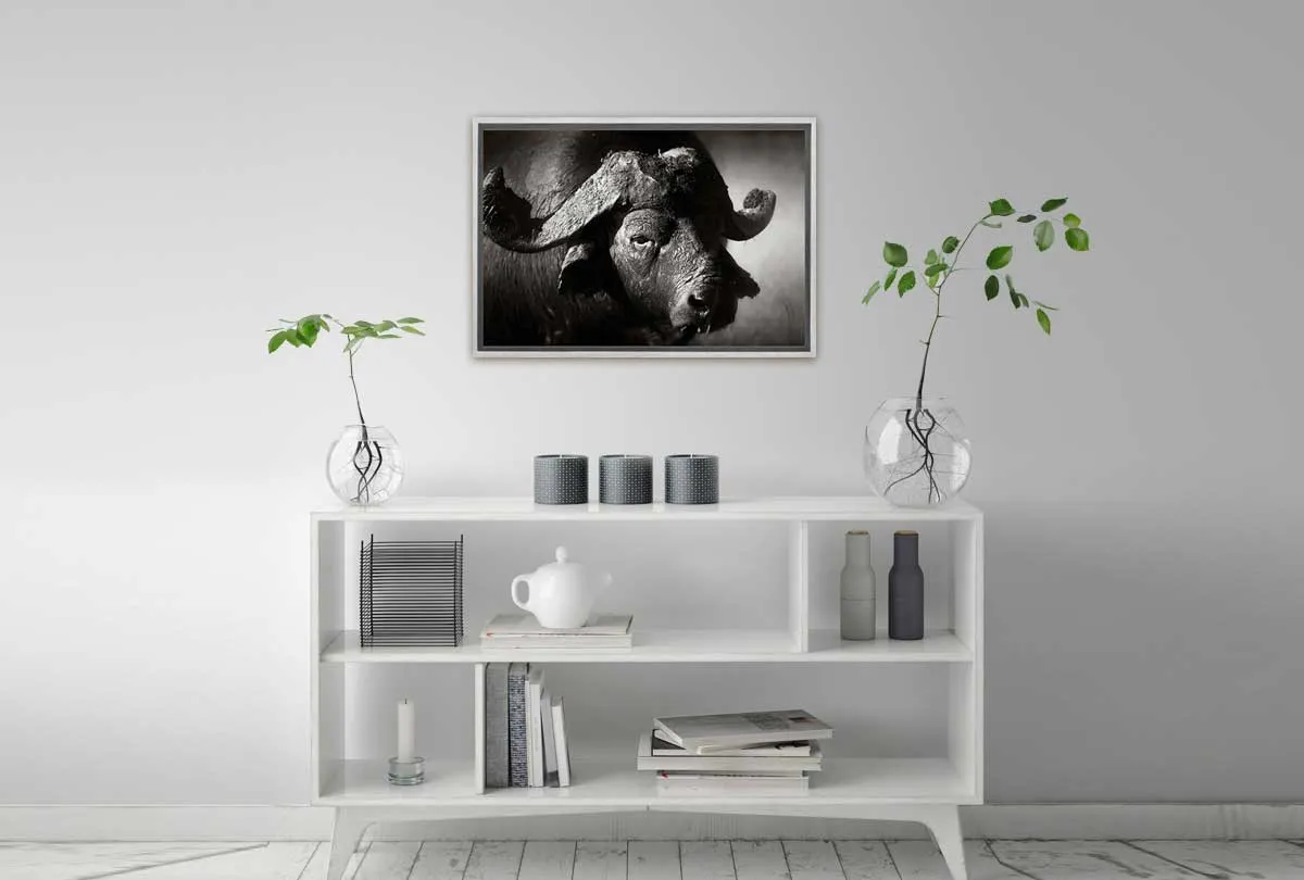 Buffalo | Animal Canvas Wall Art Print