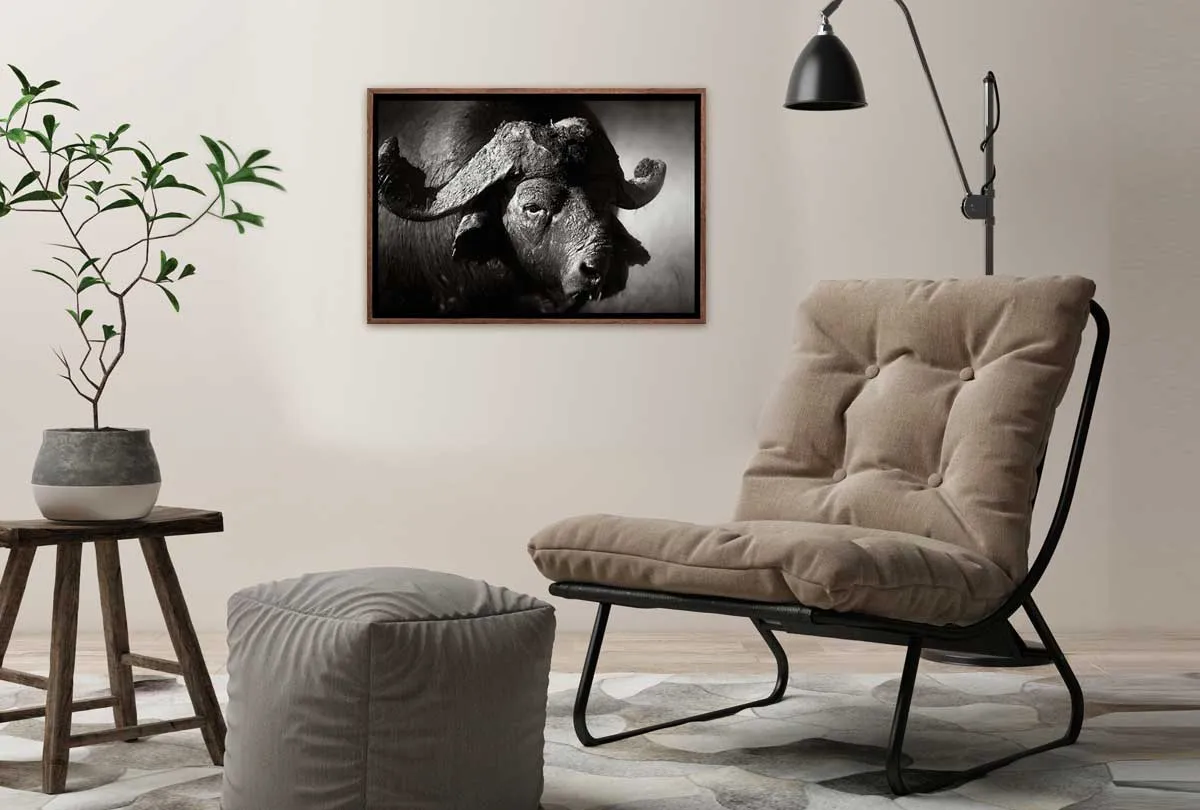 Buffalo | Animal Canvas Wall Art Print