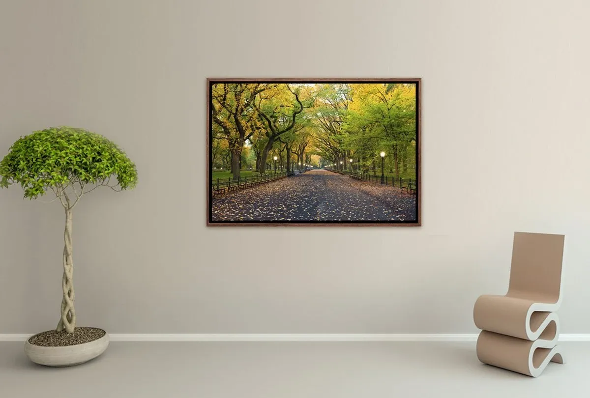 Central Park | Canvas Art Print