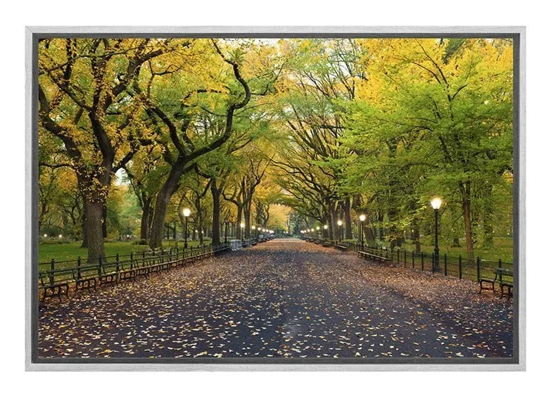 Central Park | Canvas Art Print