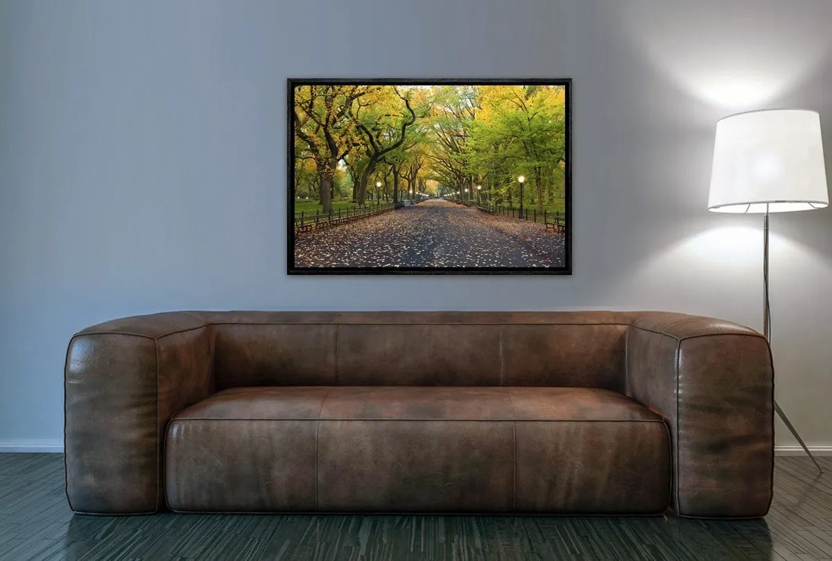 Central Park | Canvas Art Print