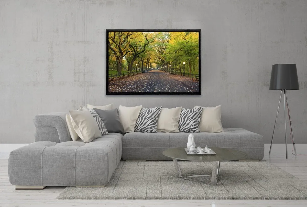 Central Park | Canvas Art Print