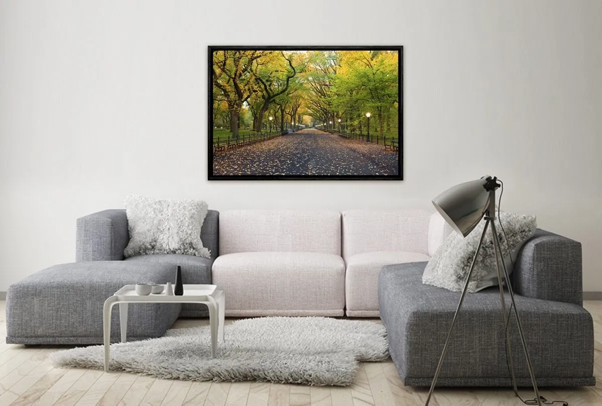Central Park | Canvas Art Print