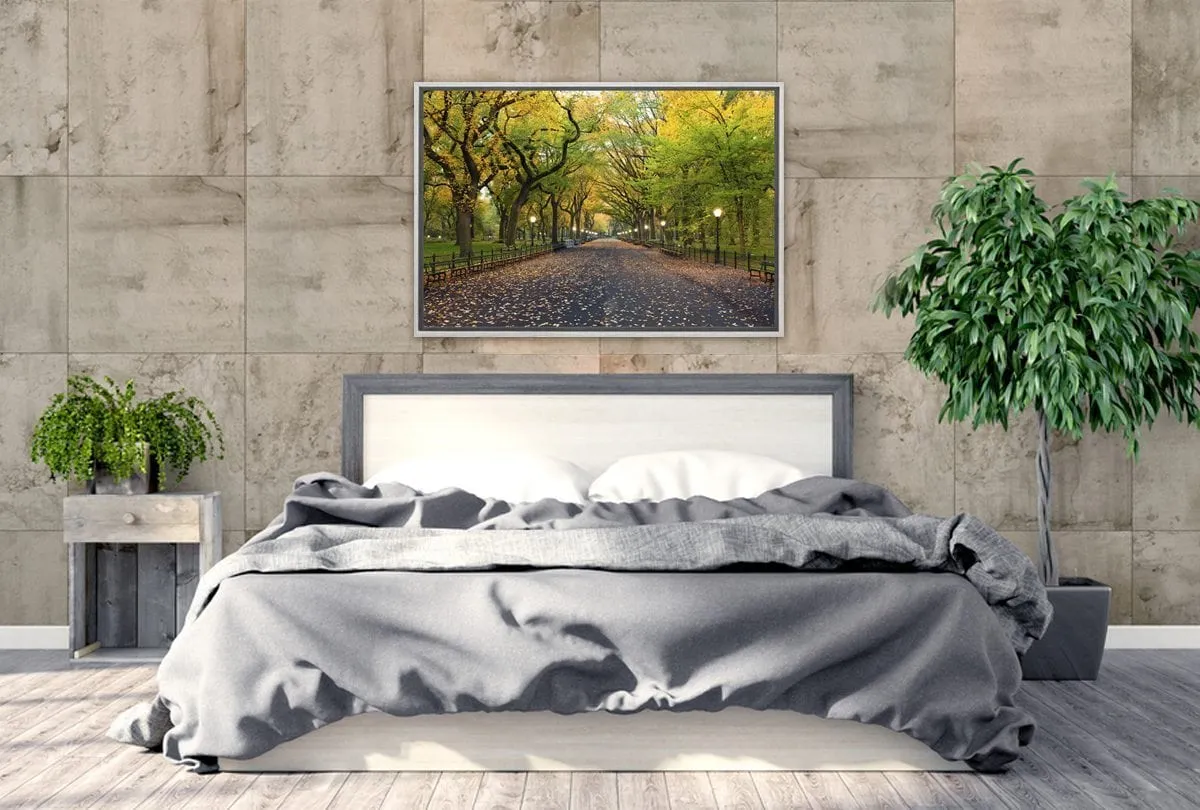 Central Park | Canvas Art Print