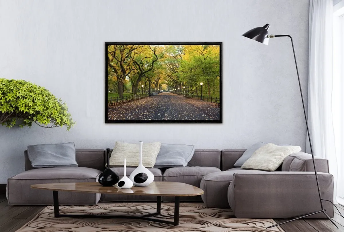 Central Park | Canvas Art Print