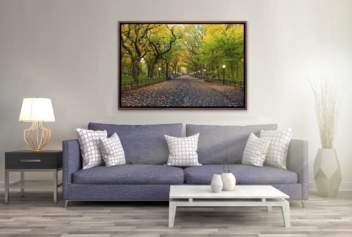 Central Park | Canvas Art Print