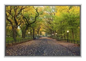 Central Park | Canvas Art Print
