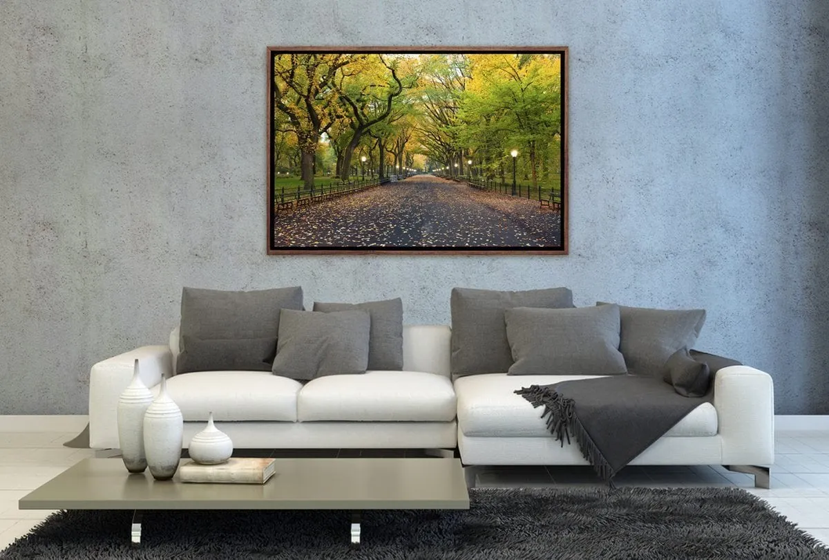Central Park | Canvas Art Print