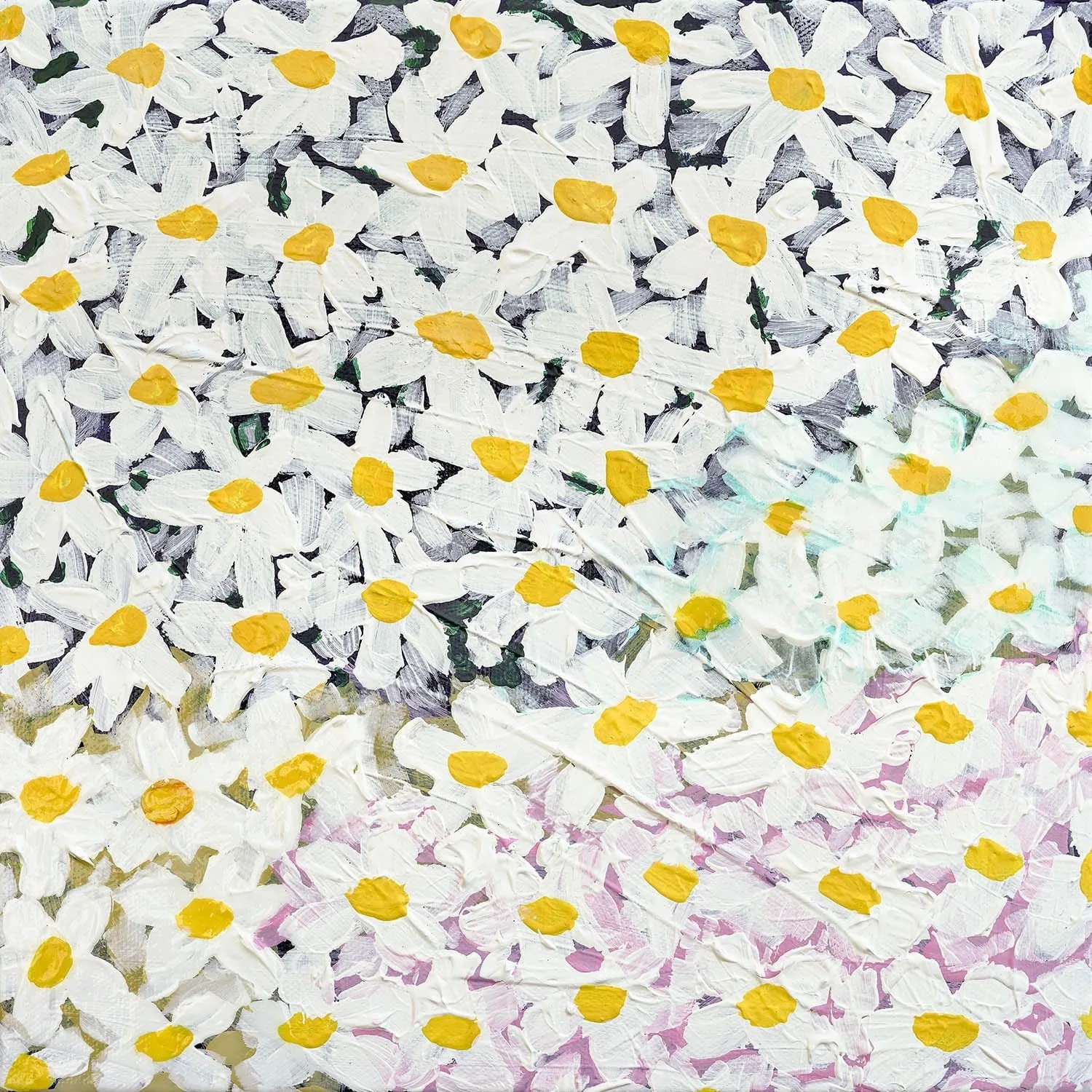 Daisy - Limited Edition Print