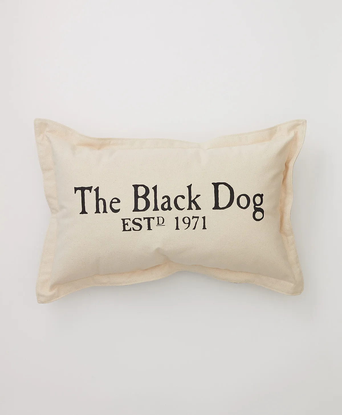 Dog in Dinghy Pillow