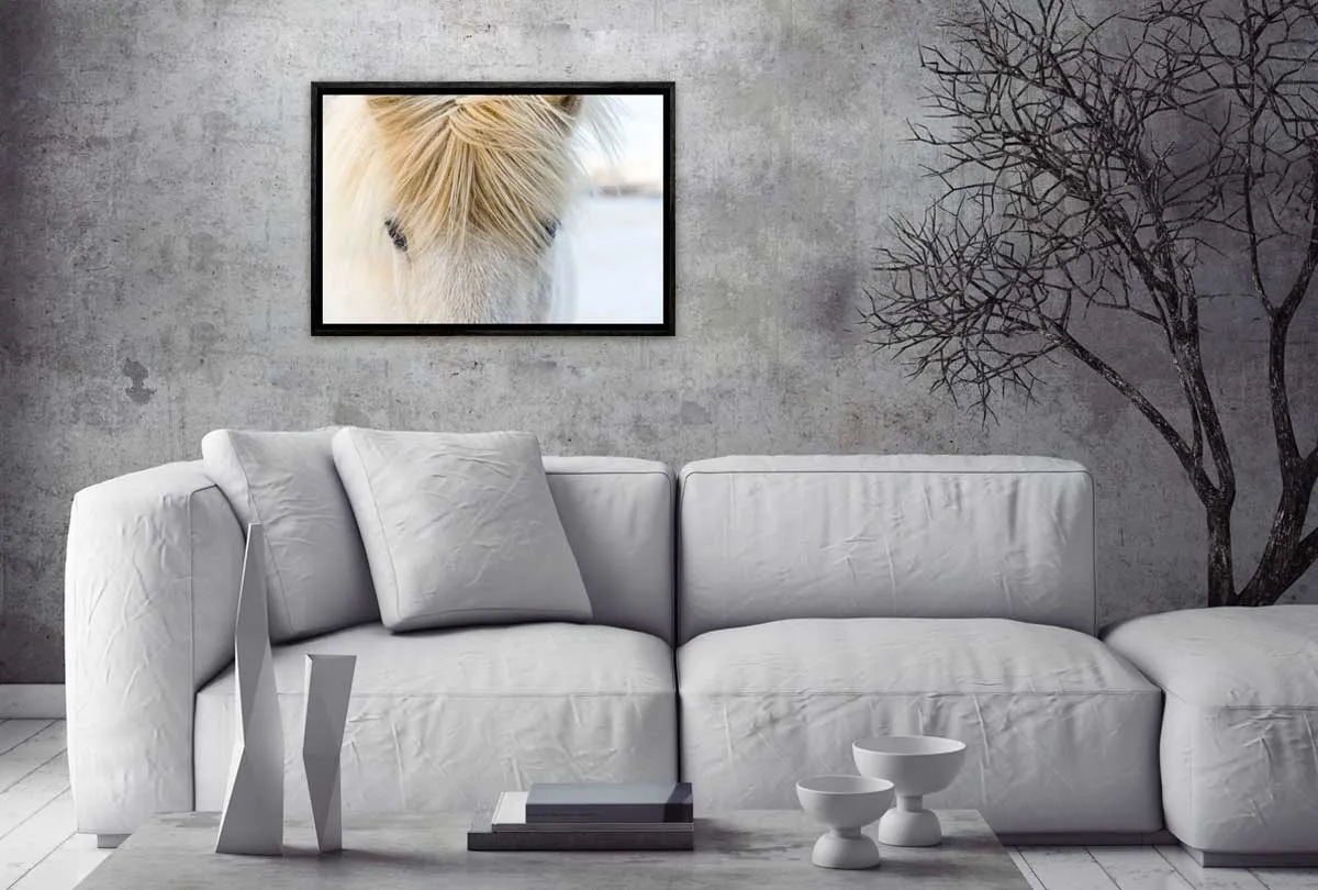 Icelandic Horse 2 | Canvas Wall Art Print