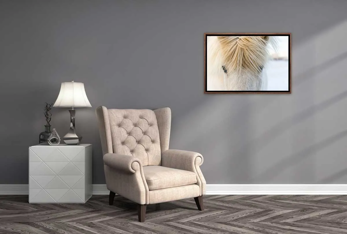 Icelandic Horse 2 | Canvas Wall Art Print