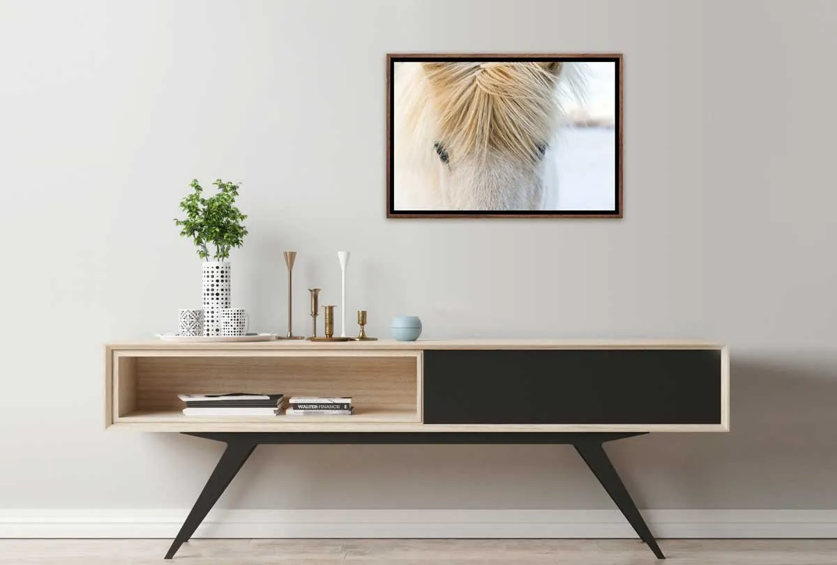 Icelandic Horse 2 | Canvas Wall Art Print