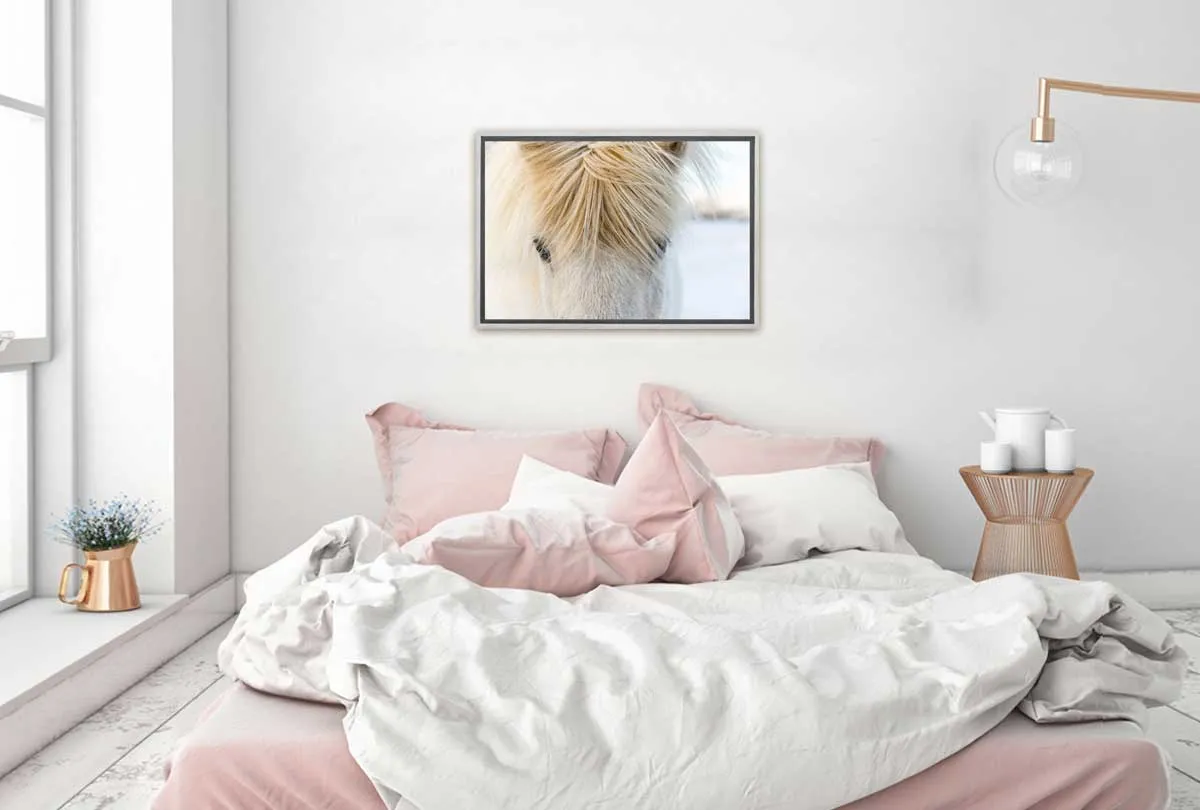Icelandic Horse 2 | Canvas Wall Art Print
