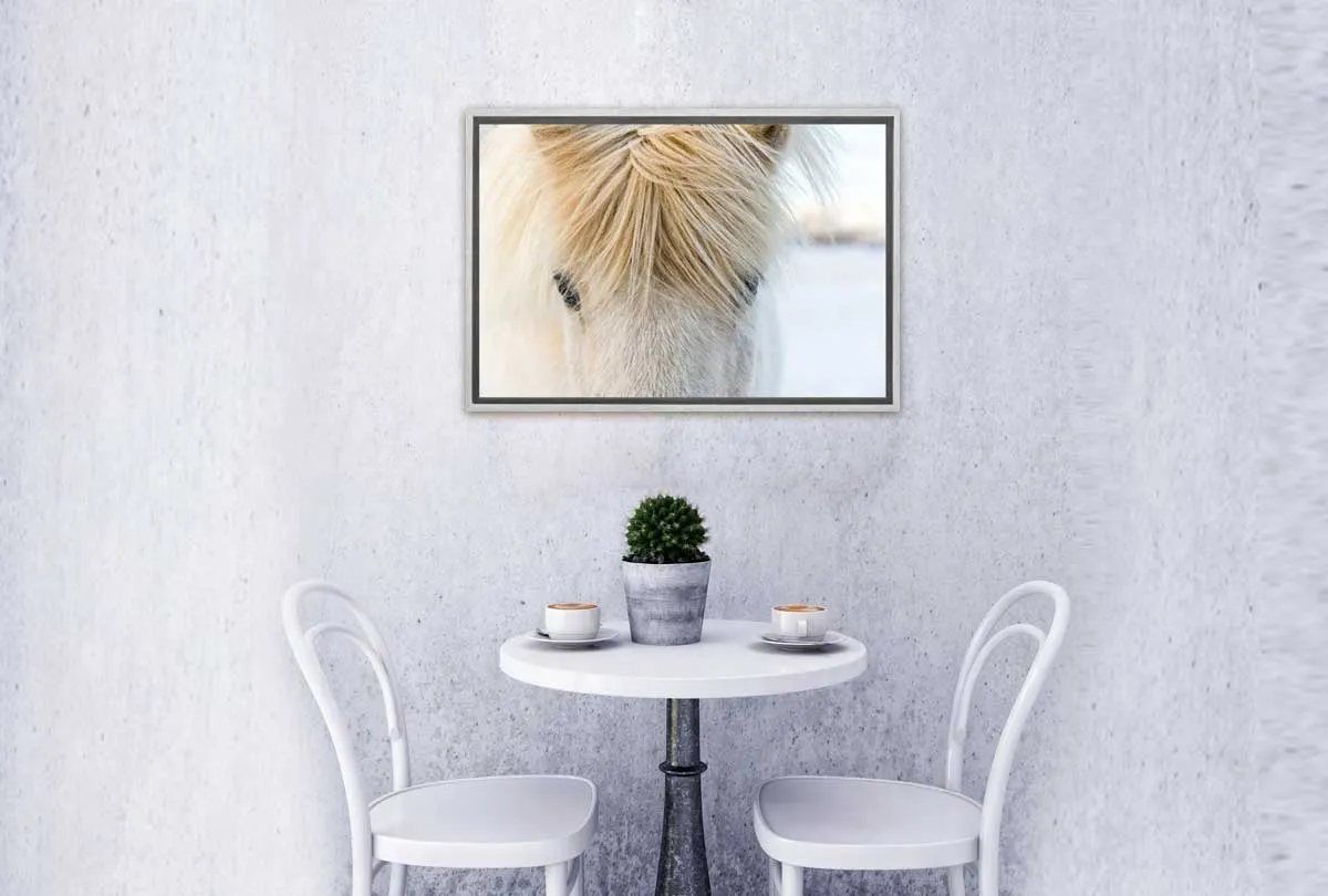 Icelandic Horse 2 | Canvas Wall Art Print